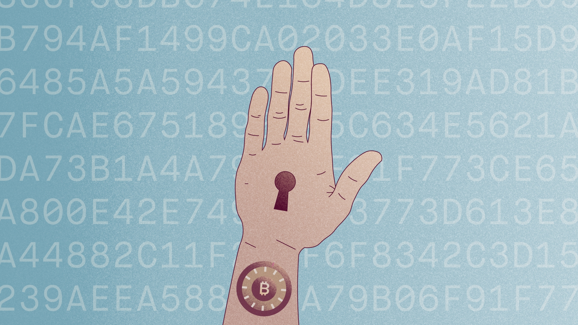 De recovery seed, wat moet je ermee? - Bitcoin.nl