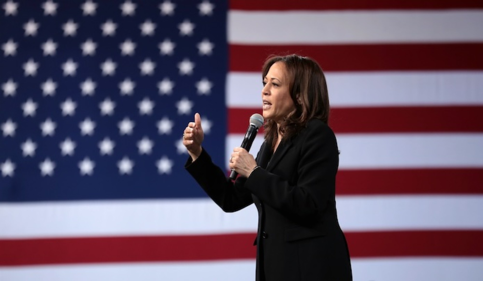 Kamala Harris: voorzichtige steun voor crypto en blockchain-innovatie -  Bitcoin.nl