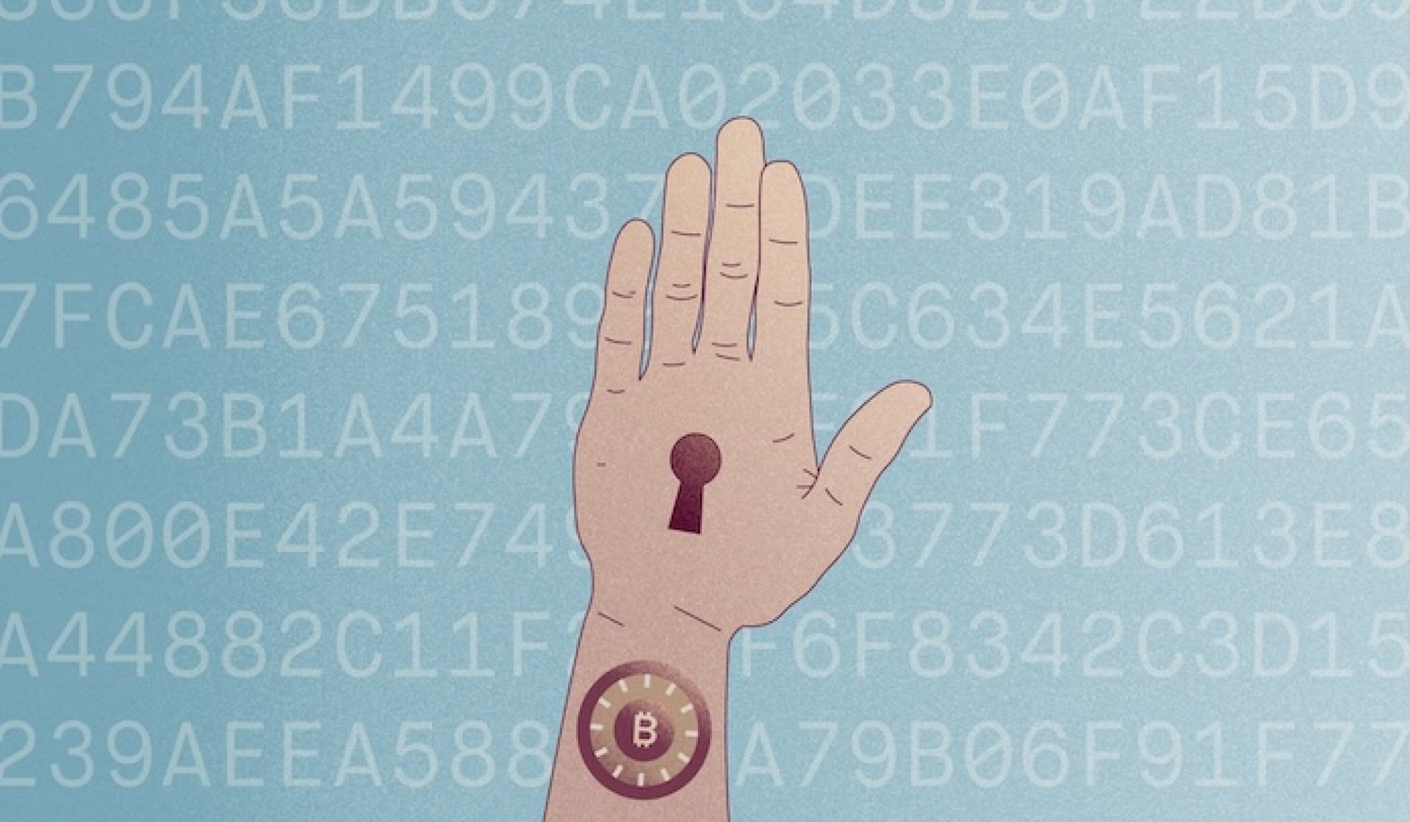 Bitcoin gekocht? Dit is waarom een eigen wallet belangrijk is - Bitcoin.nl